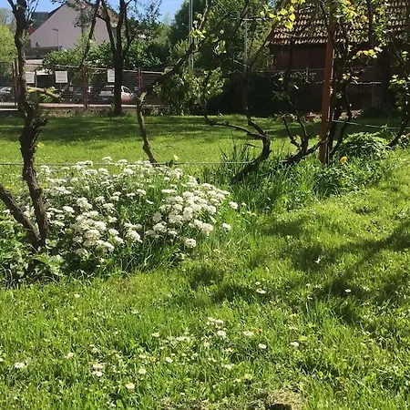 Casa de hóspedes Green Oasis